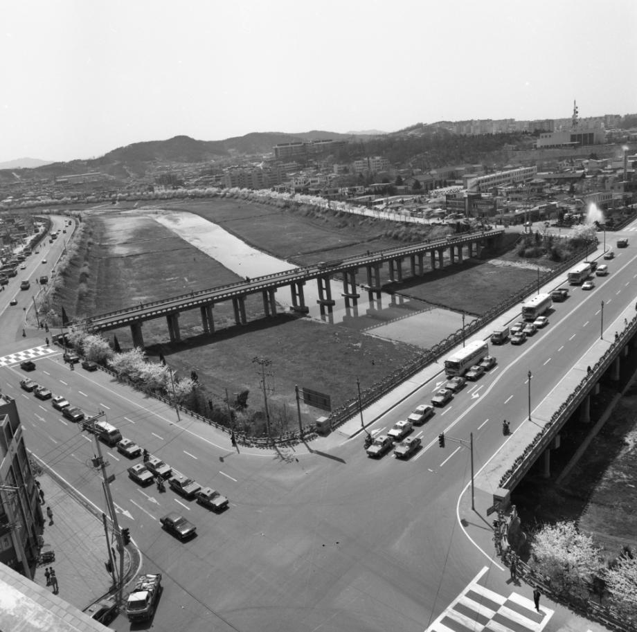 김운기 컬렉션이미지