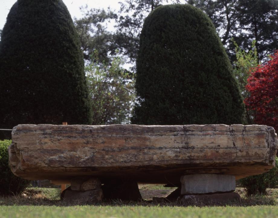 김운기 컬렉션이미지