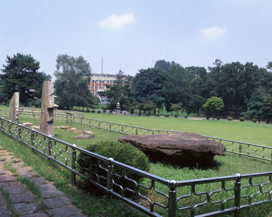 김운기 컬렉션이미지