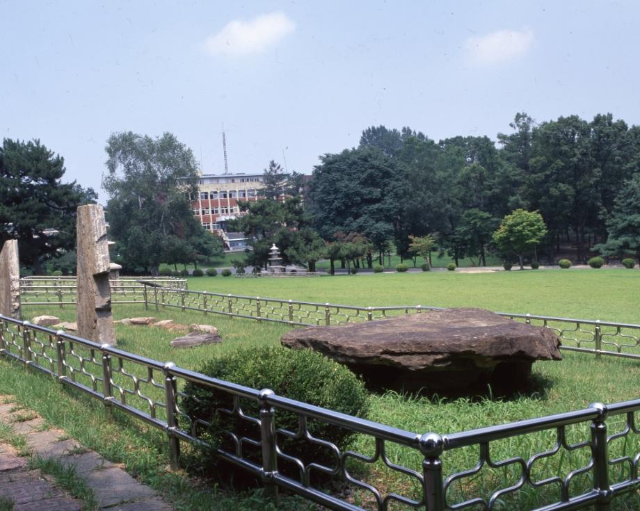 김운기 컬렉션이미지