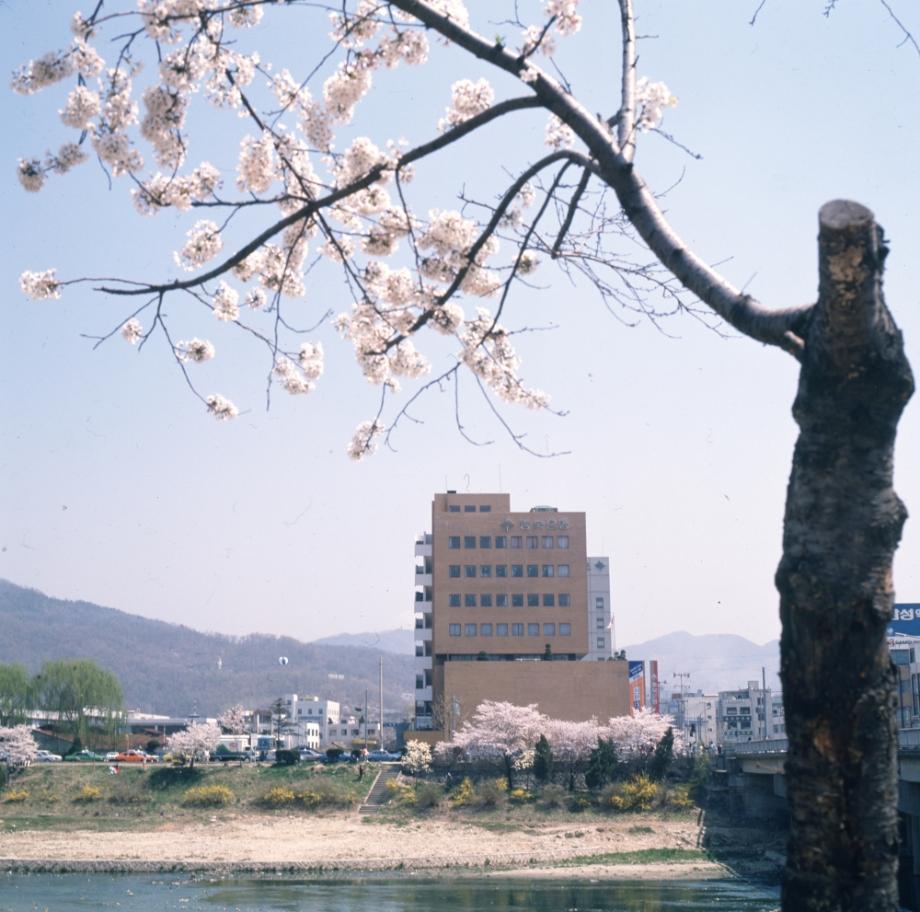 김운기 컬렉션이미지