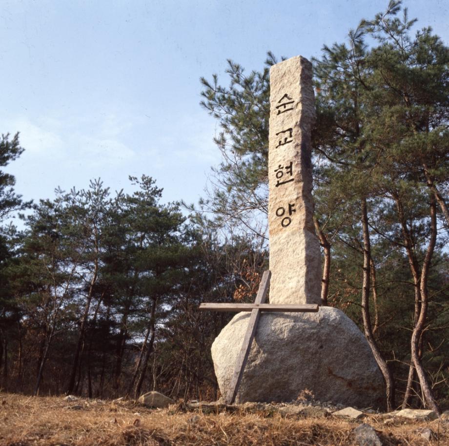 김운기 컬렉션이미지