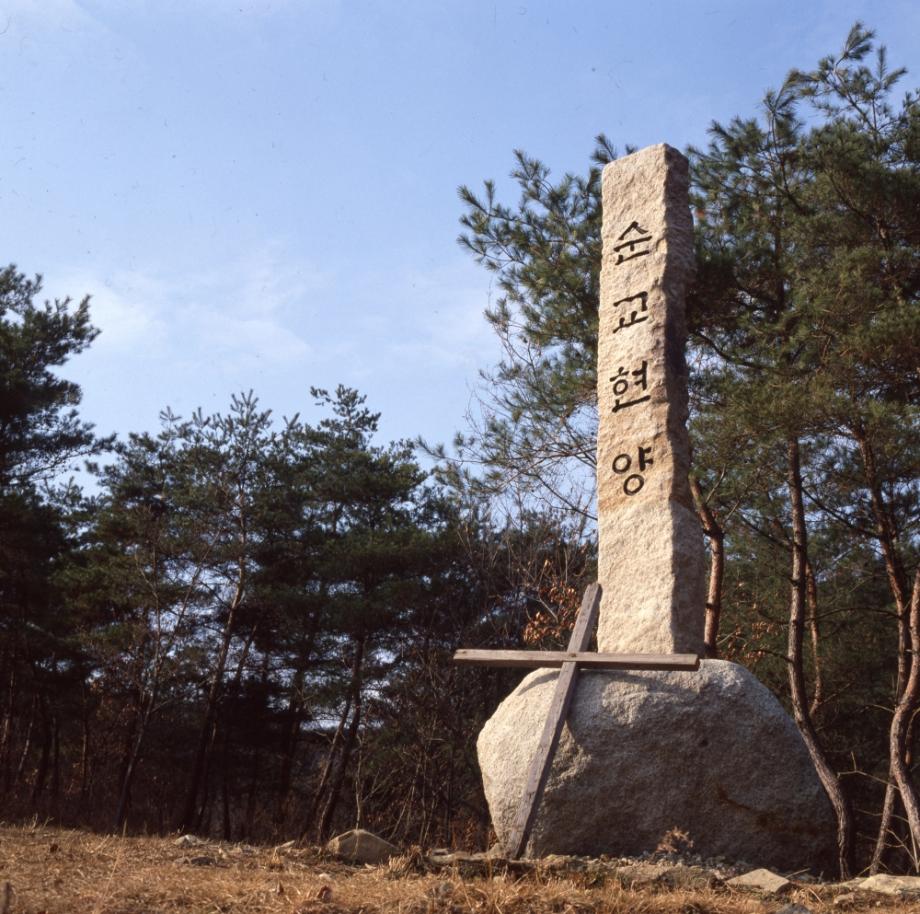 김운기 컬렉션이미지