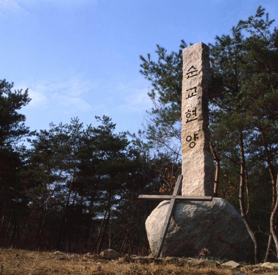 김운기 컬렉션이미지