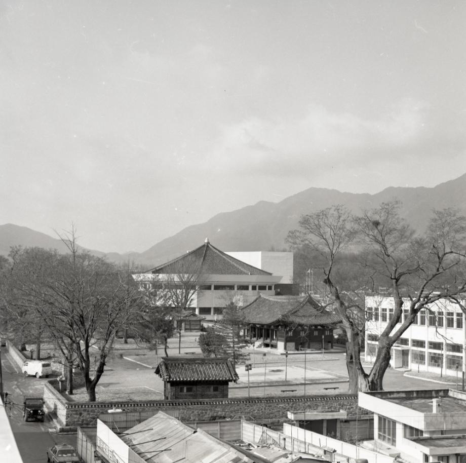 김운기 컬렉션이미지