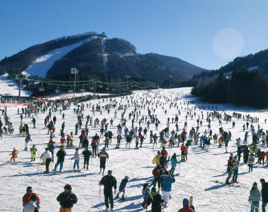 김운기 컬렉션이미지