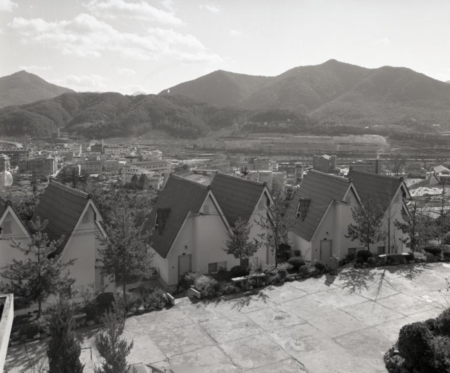 김운기 컬렉션이미지