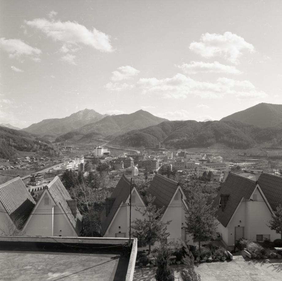 김운기 컬렉션이미지