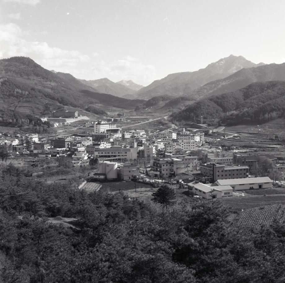 김운기 컬렉션이미지