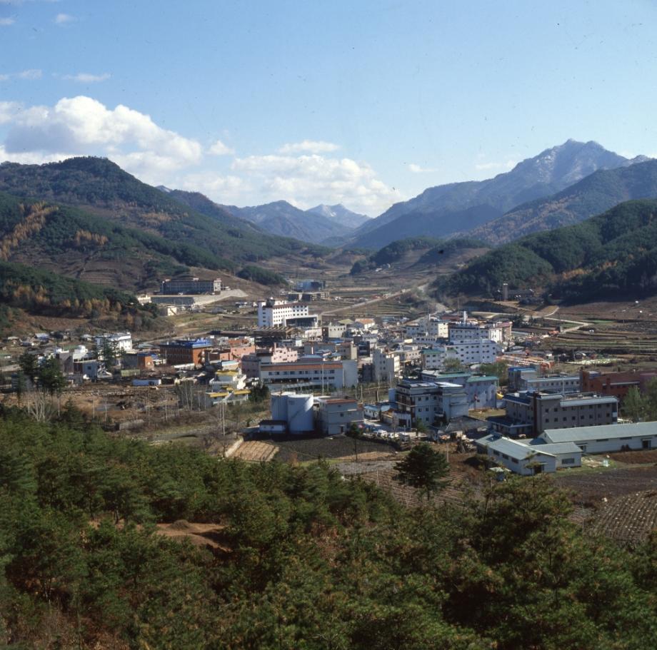 김운기 컬렉션이미지