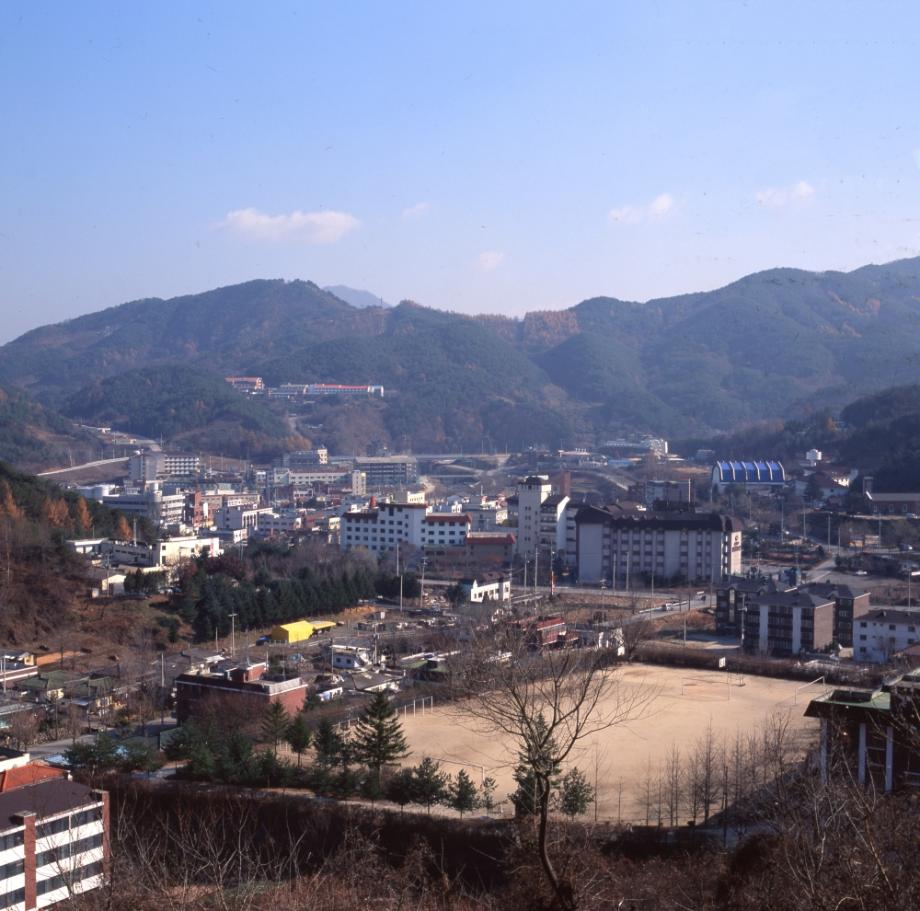 김운기 컬렉션이미지