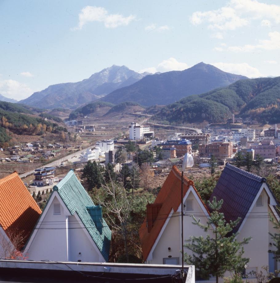 김운기 컬렉션이미지