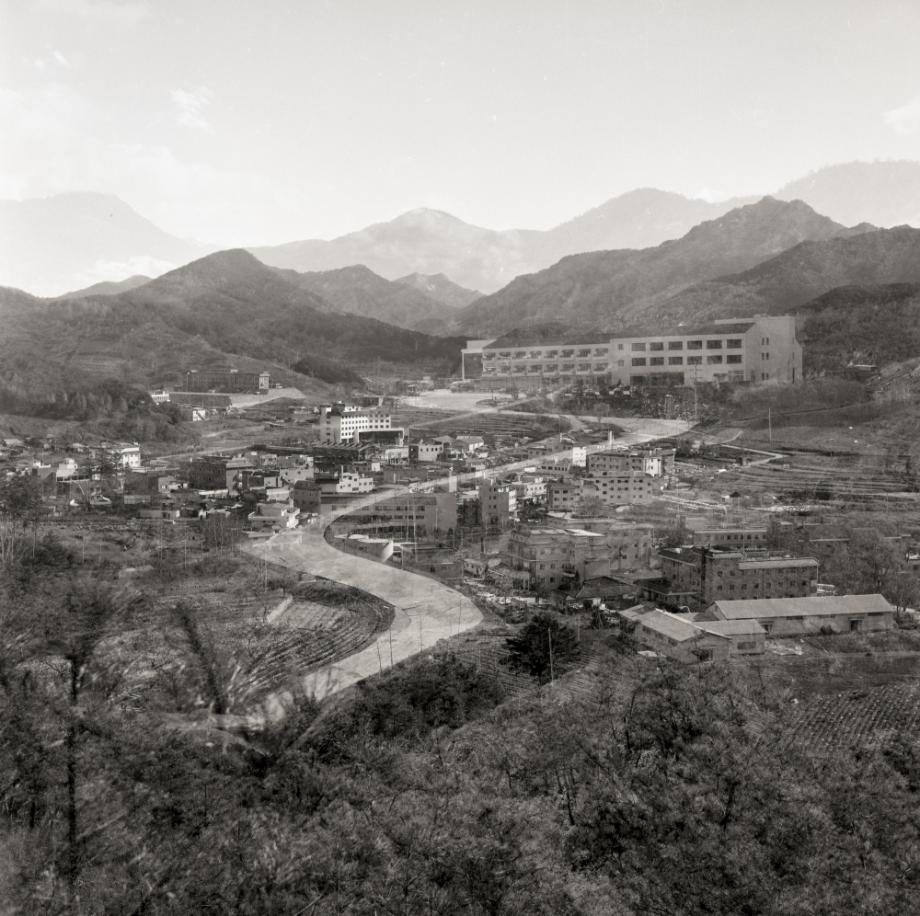 김운기 컬렉션이미지