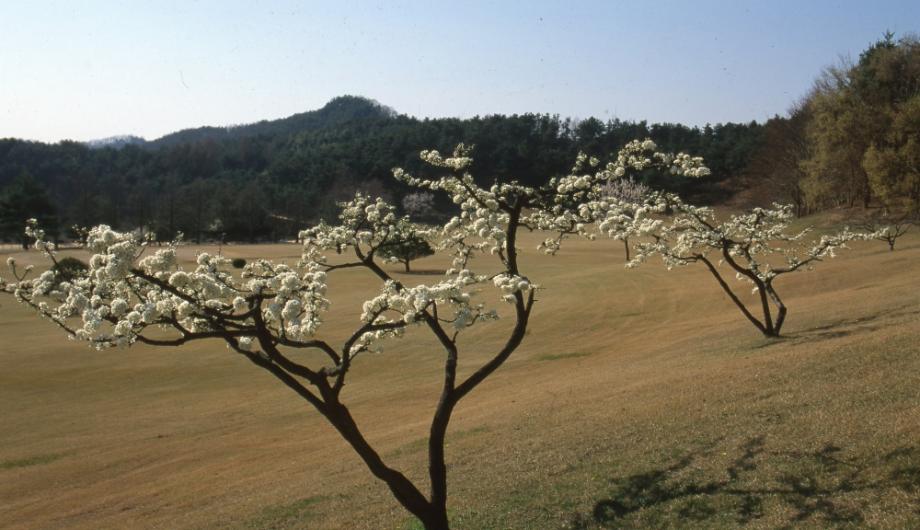 청주 상당산성이미지