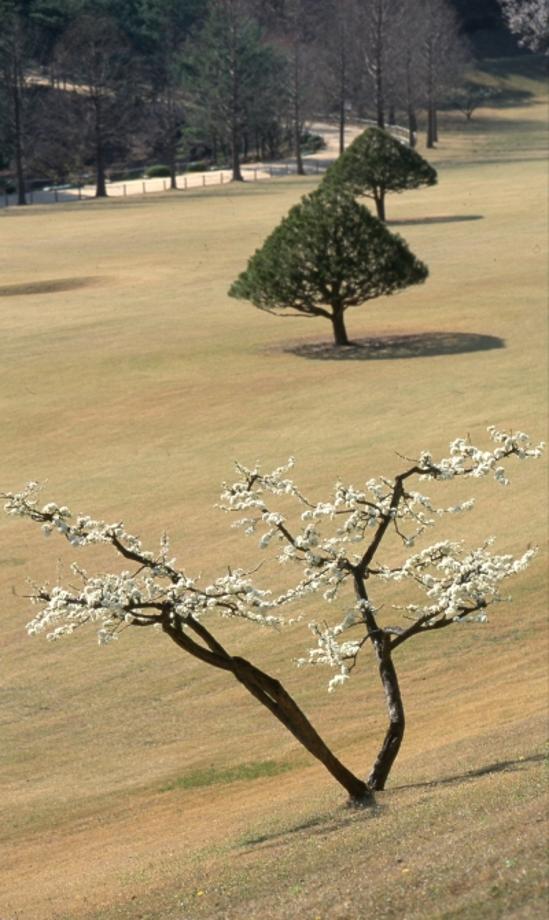 청주 상당산성이미지