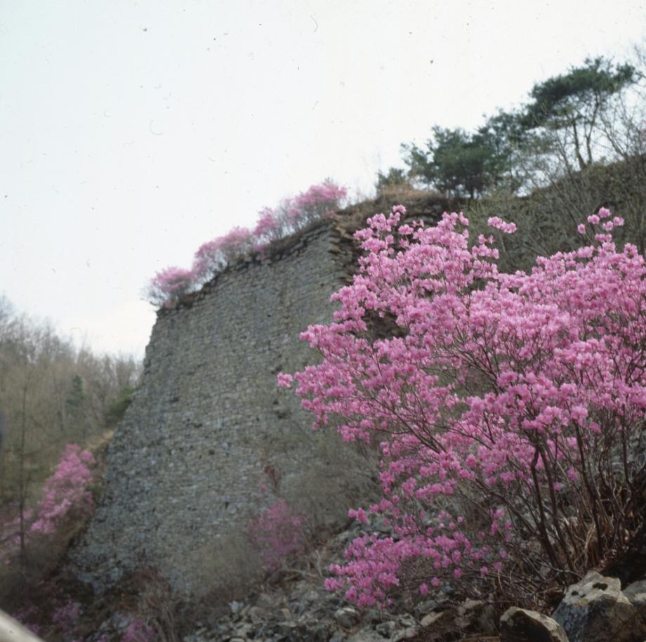 보은 삼년산성이미지