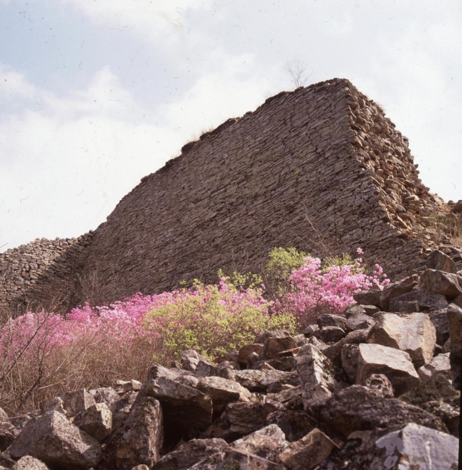 보은 삼년산성이미지