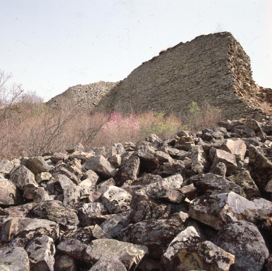 보은 삼년산성이미지