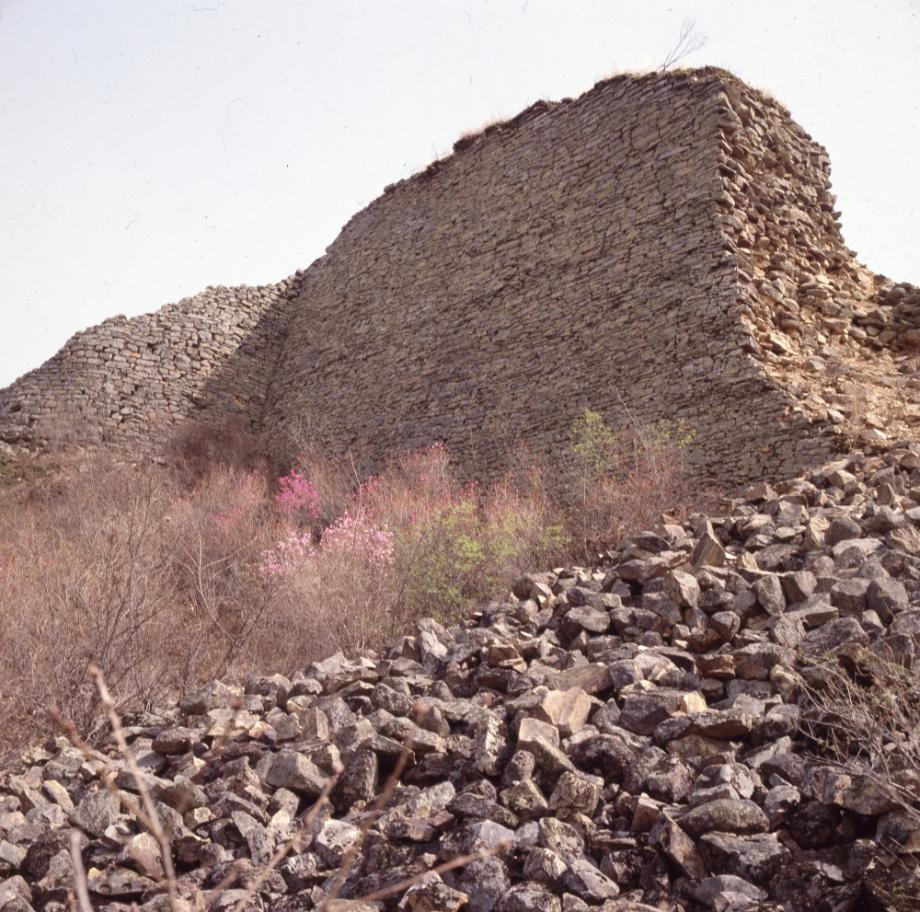 보은 삼년산성이미지