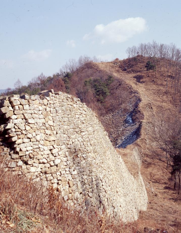 보은 삼년산성이미지