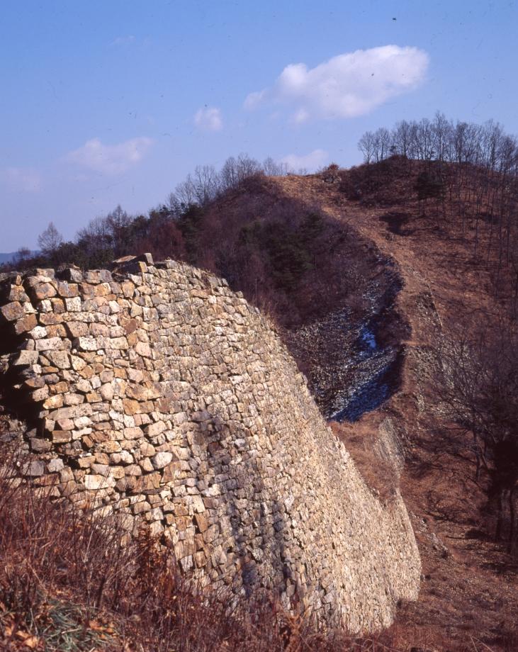 보은 삼년산성이미지