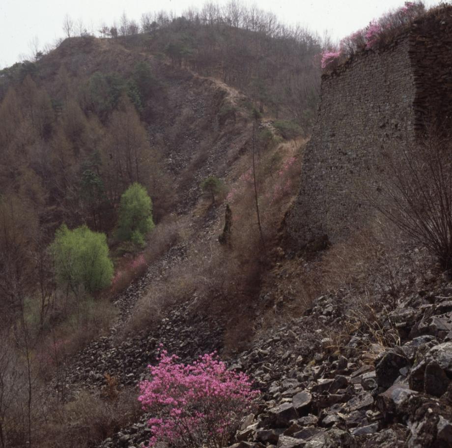 보은 삼년산성이미지