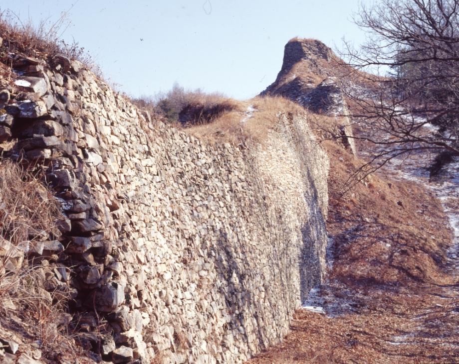 보은 삼년산성이미지