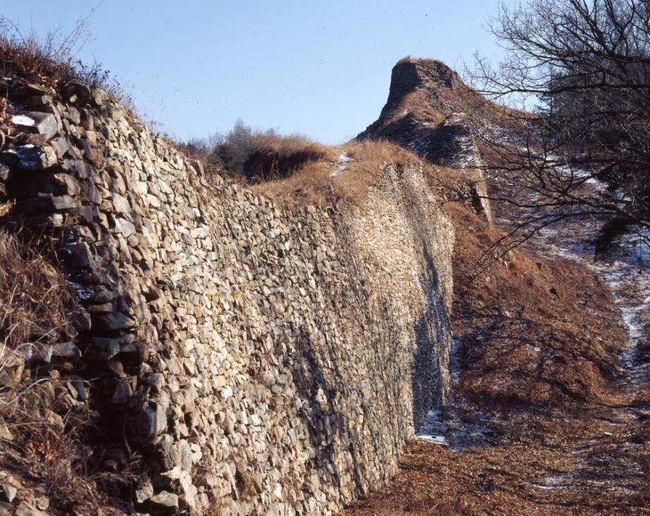 보은 삼년산성이미지