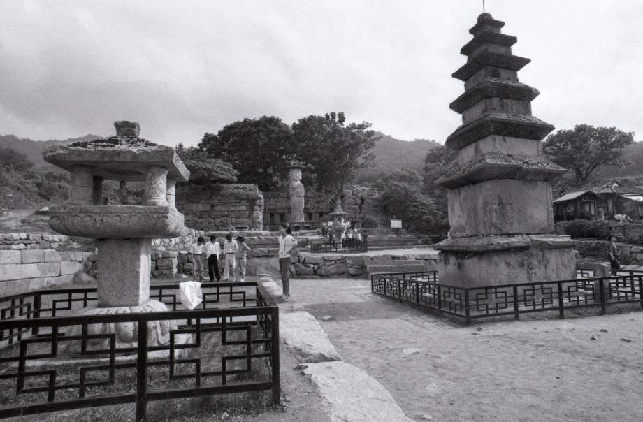 충주 미륵대원지이미지