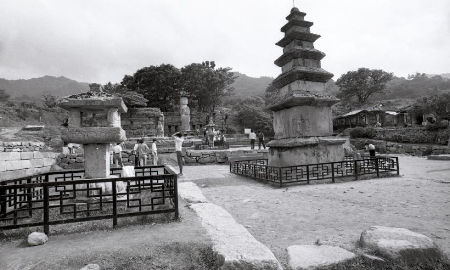 충주 미륵대원지이미지