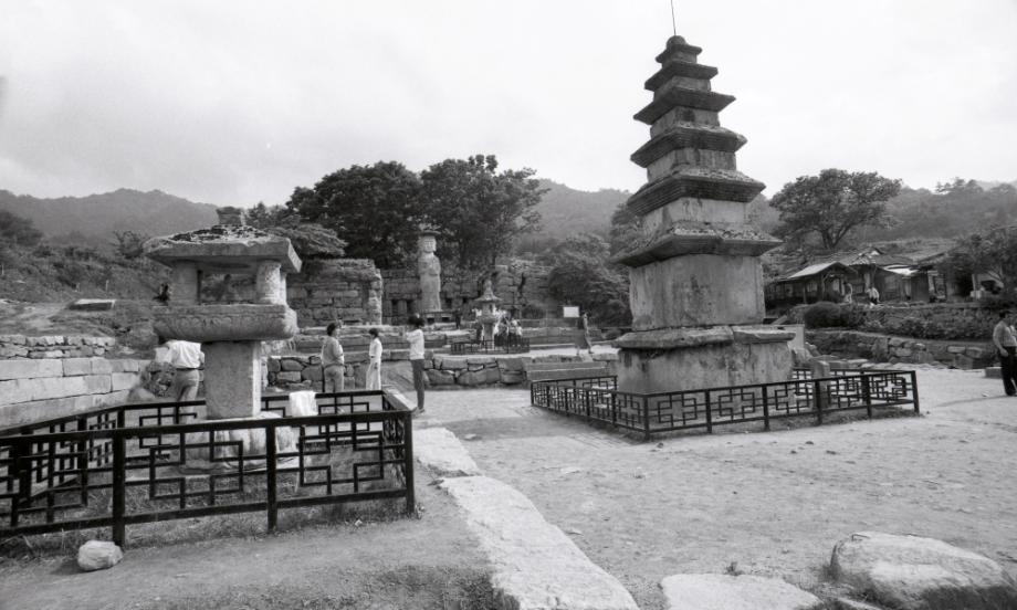 충주 미륵대원지이미지