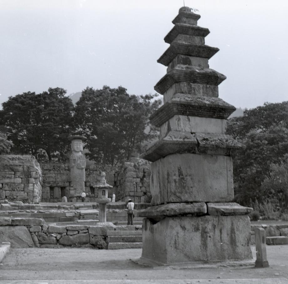 충주 미륵대원지이미지