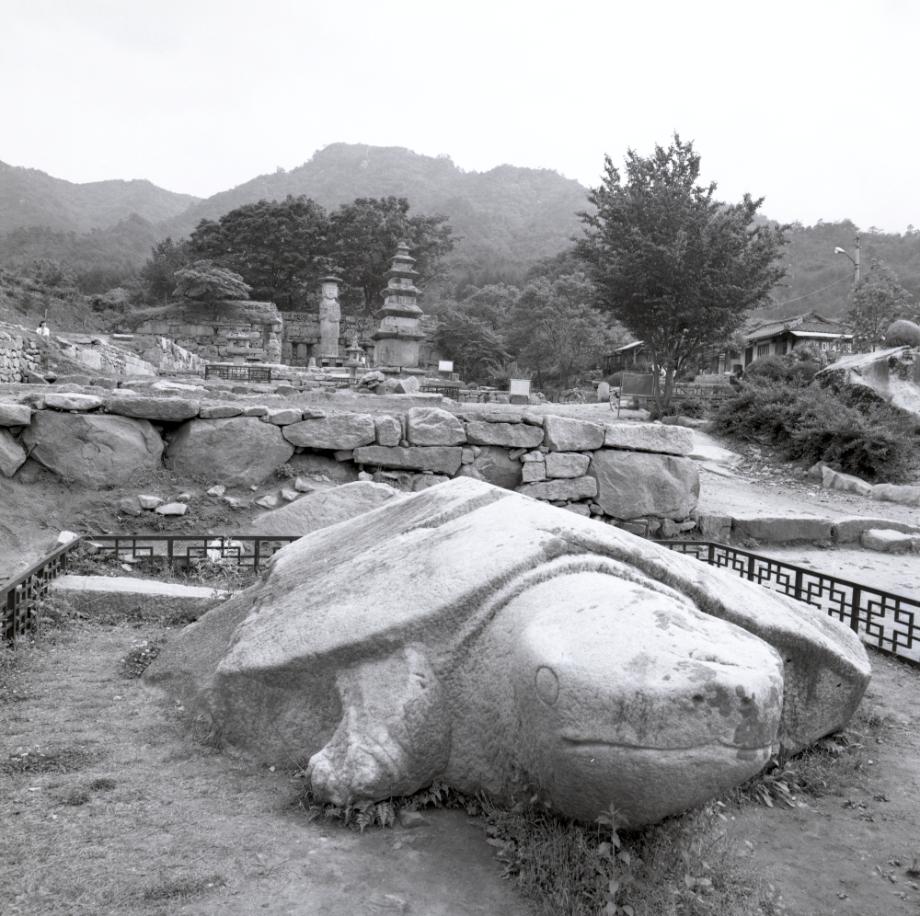 충주 미륵대원지이미지