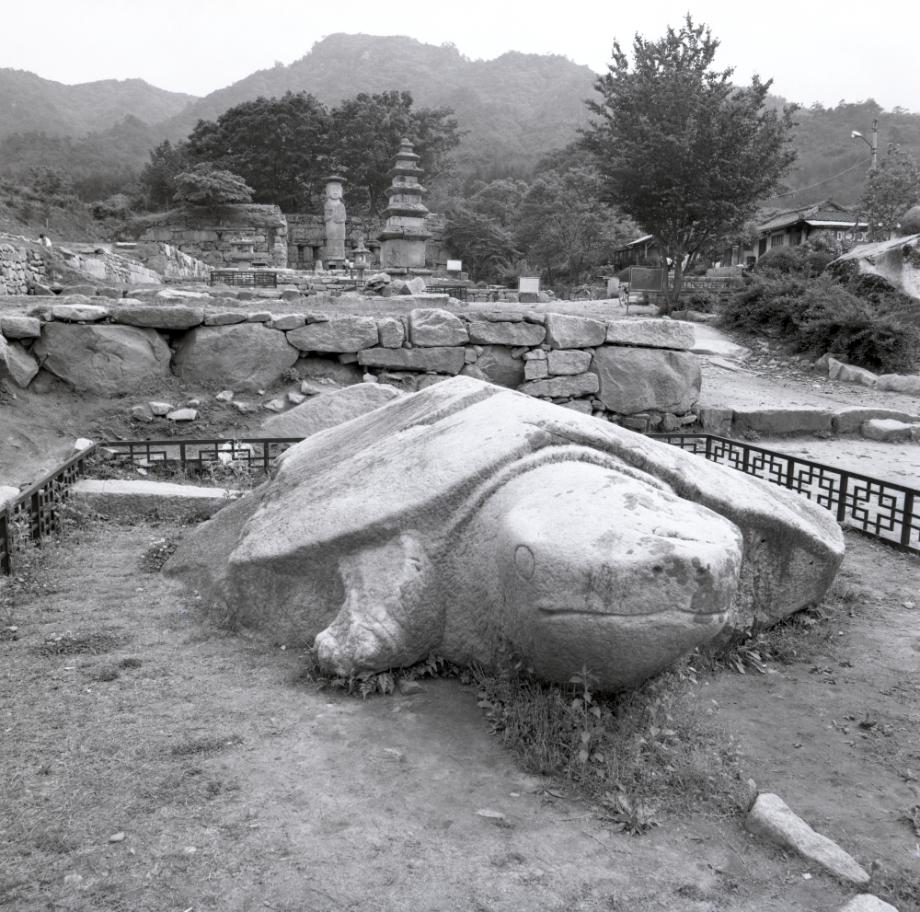 충주 미륵대원지이미지