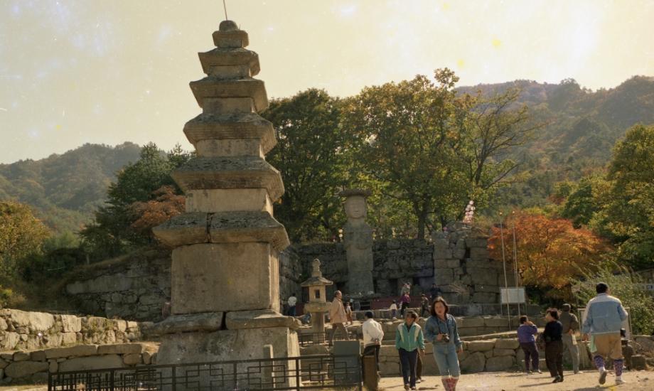 충주 미륵대원지이미지