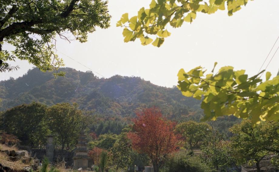 충주 미륵대원지이미지