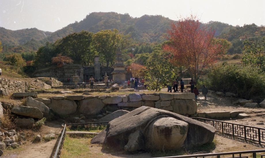 충주 미륵대원지이미지