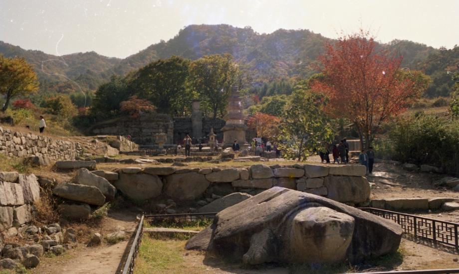 충주 미륵대원지이미지