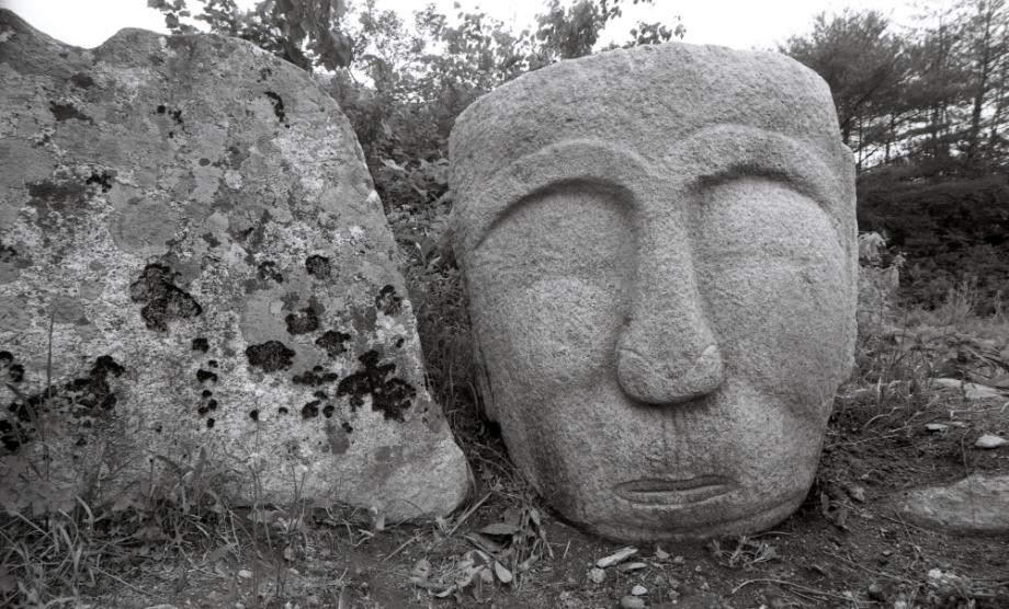 충주 미륵대원지이미지