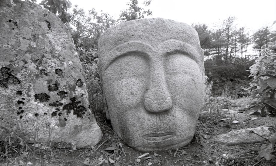 충주 미륵대원지이미지