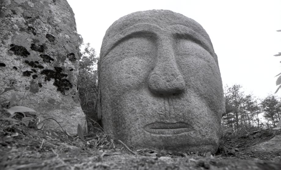 충주 미륵대원지이미지