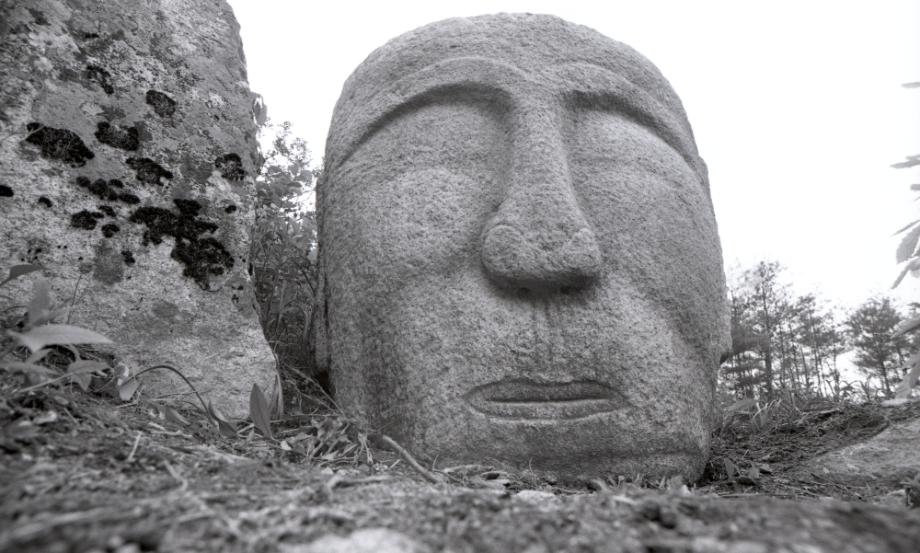 충주 미륵대원지이미지