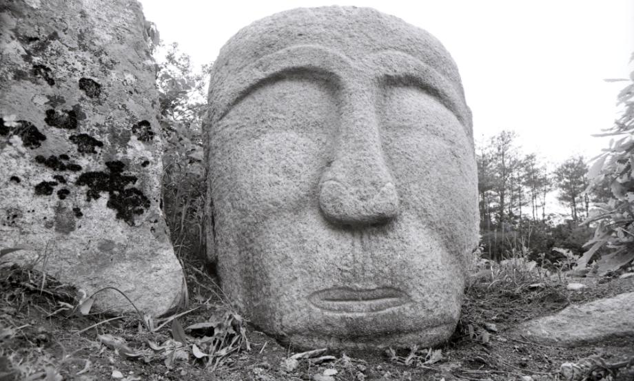 충주 미륵대원지이미지