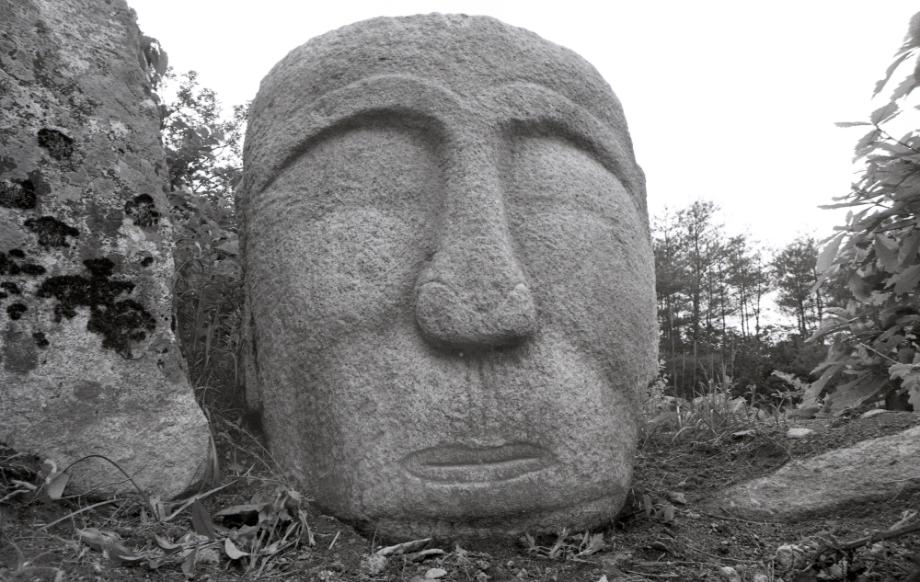 충주 미륵대원지이미지