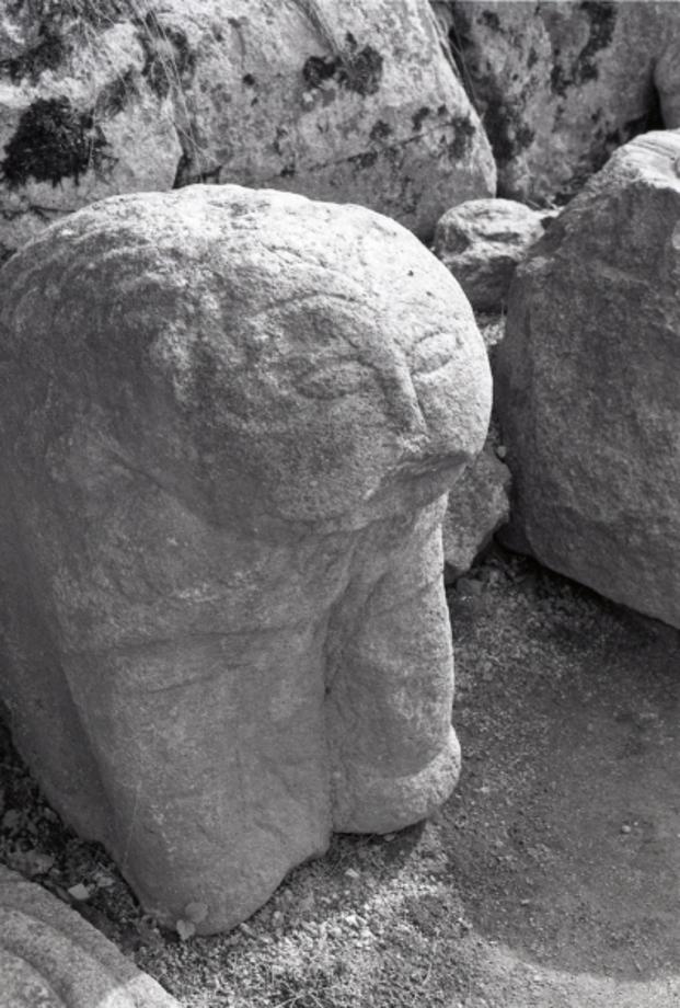 충주 미륵대원지이미지