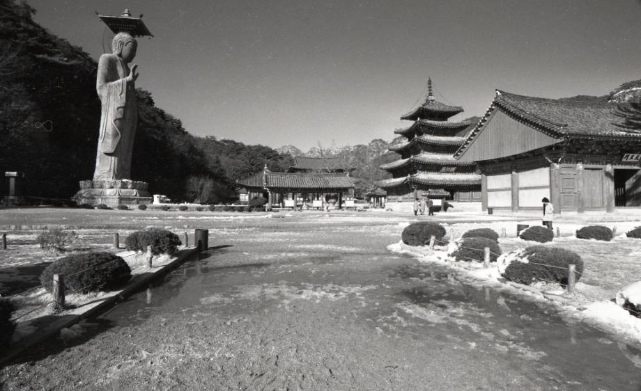 보은 법주사이미지