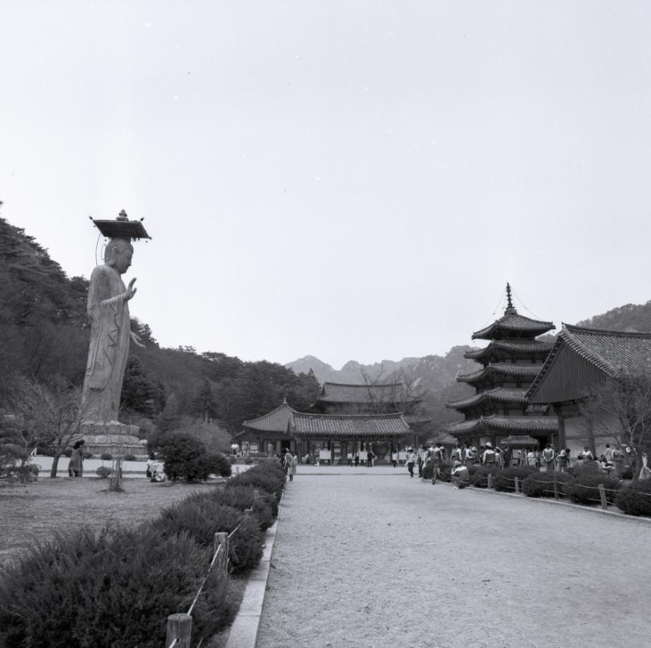 보은 법주사이미지