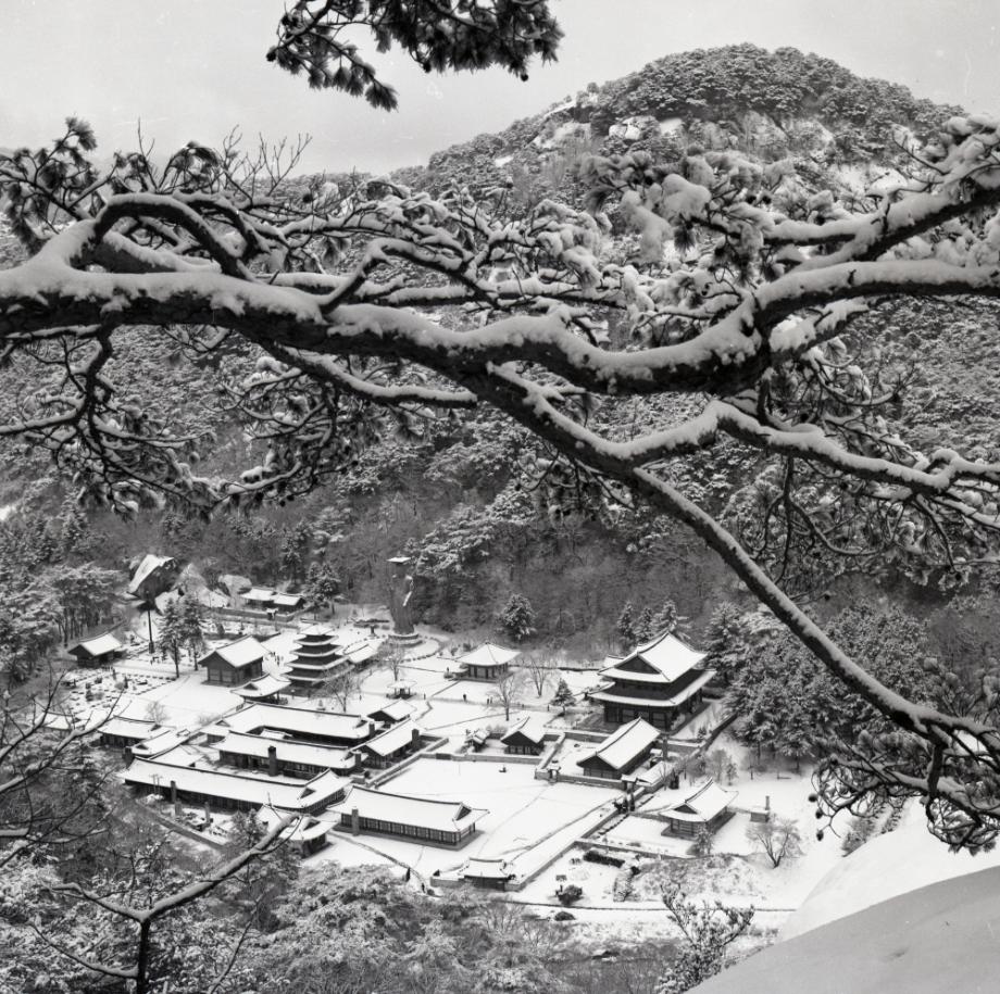 보은 법주사이미지