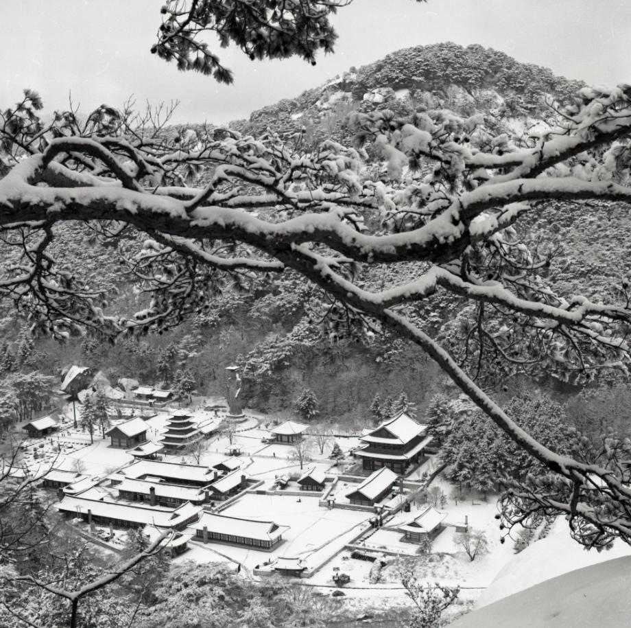 보은 법주사이미지