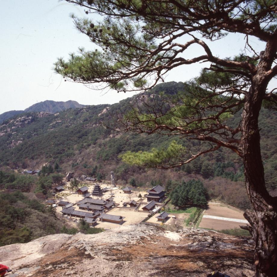 보은 법주사이미지